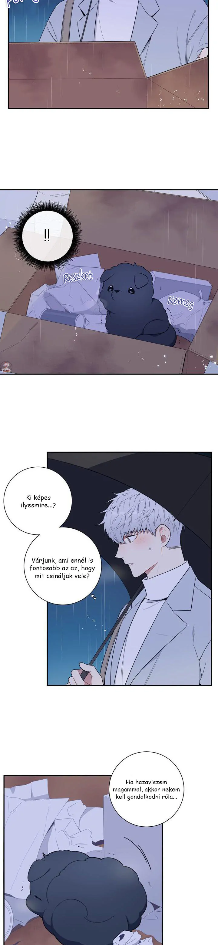 42905211 720 3114 103666