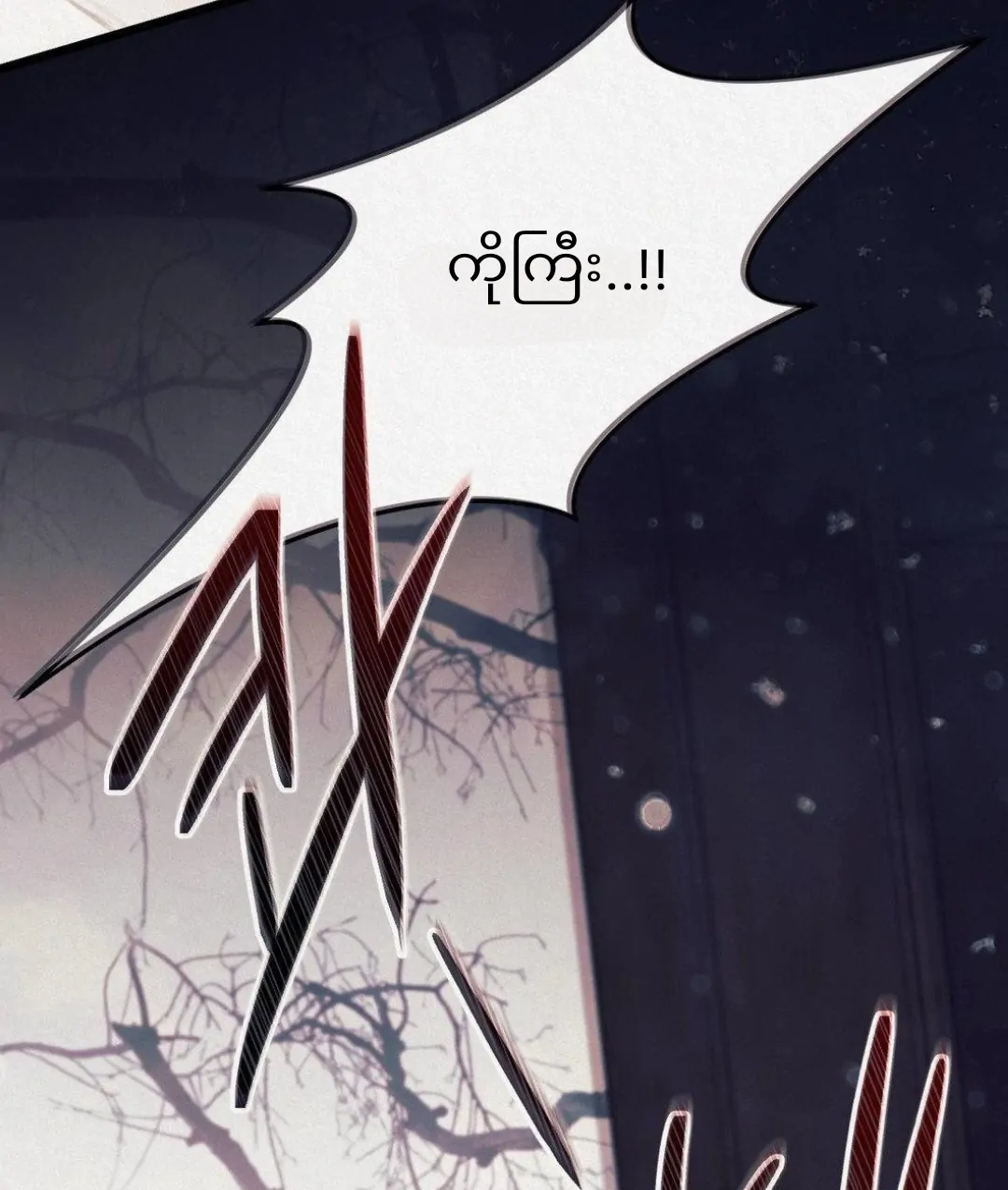 68881520 1080 1275 74348